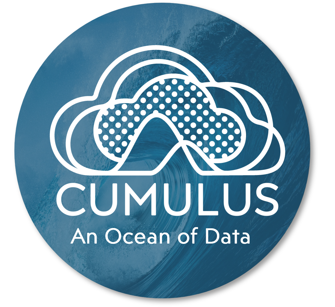 Pieces of Coastal Measures, the CUMULUS platform, and YSOK AI
